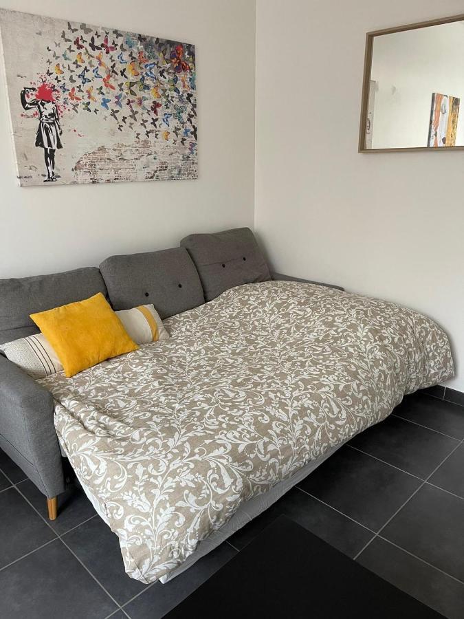 Bel Appartement Grande Terrasse Avec Parking A Dijon Ngoại thất bức ảnh